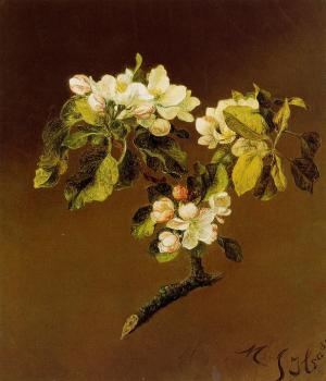 Martin Johnson Heade : A Spray of Apple Blossoms